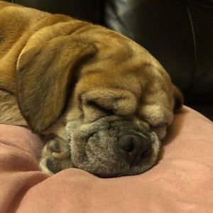 Meet your Posher, Tammy